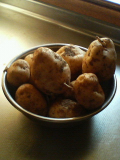 201107101837000.jpg