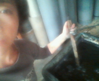 20120615.jpg